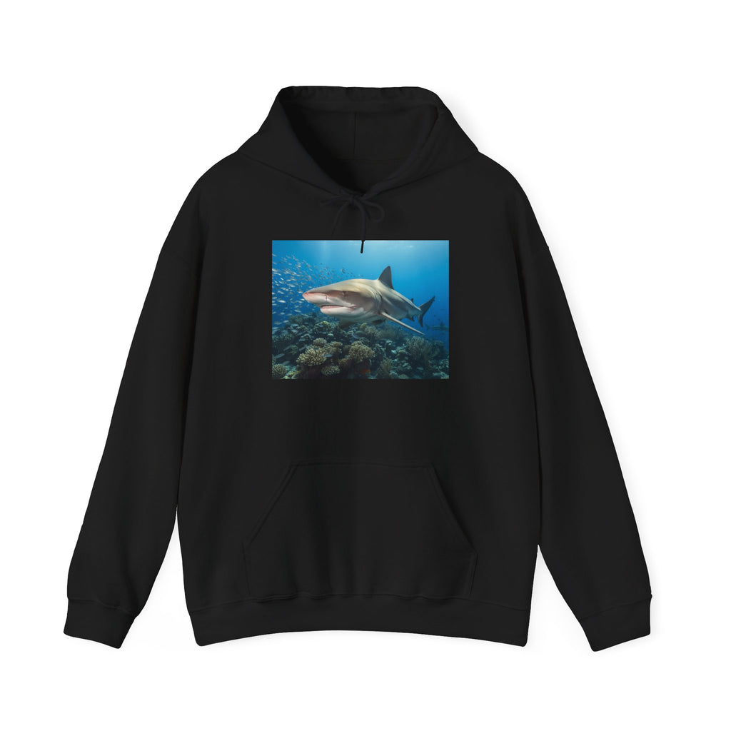 Shark Week Casual