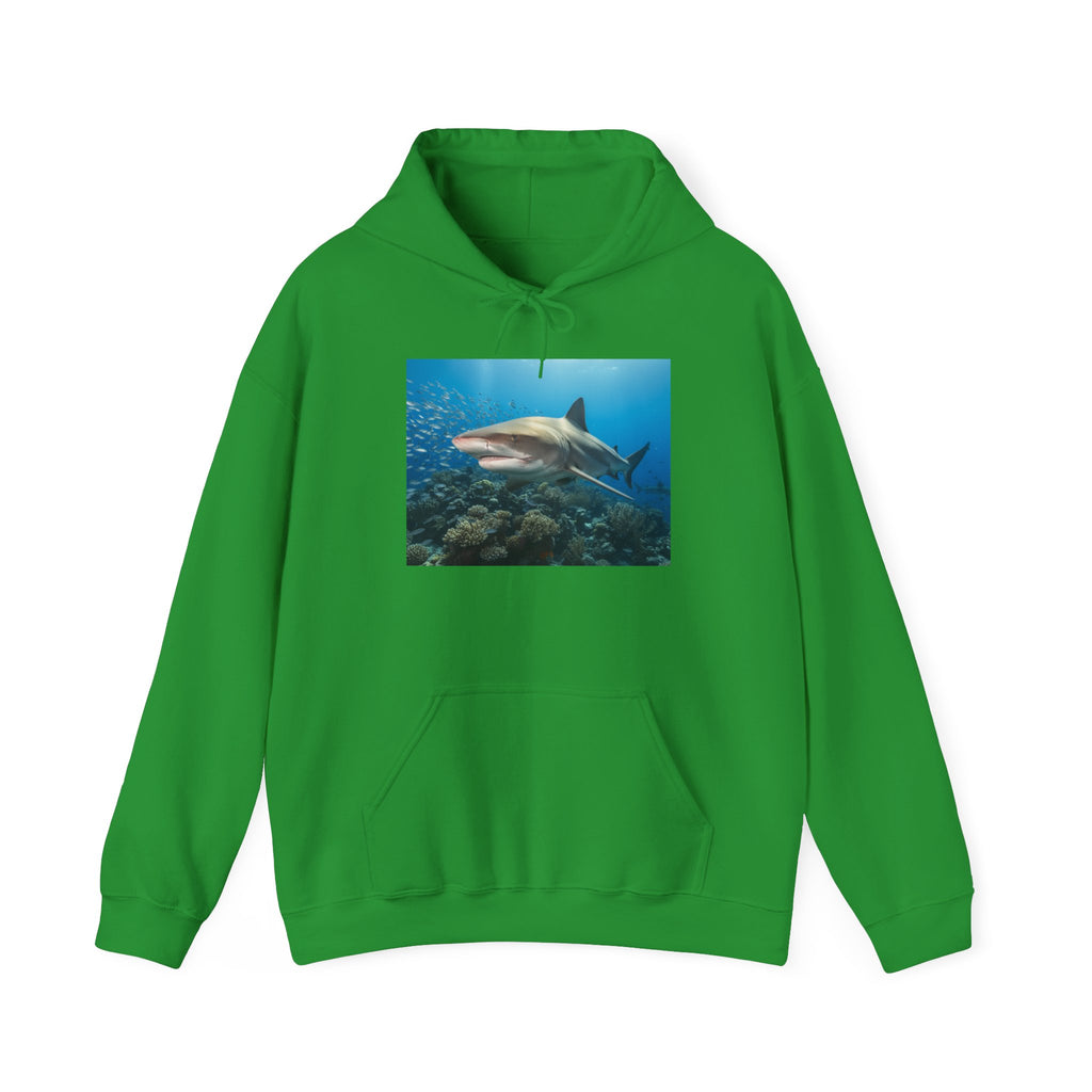 Shark Week Casual