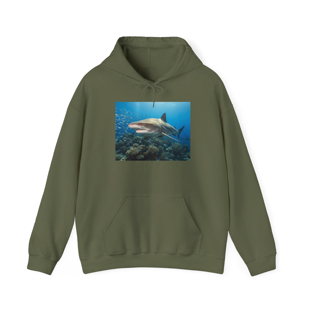 Shark Week Casual
