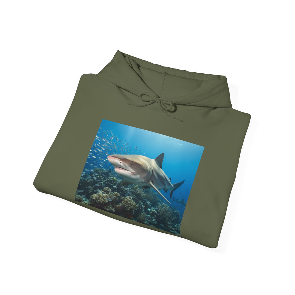 Shark Week Casual