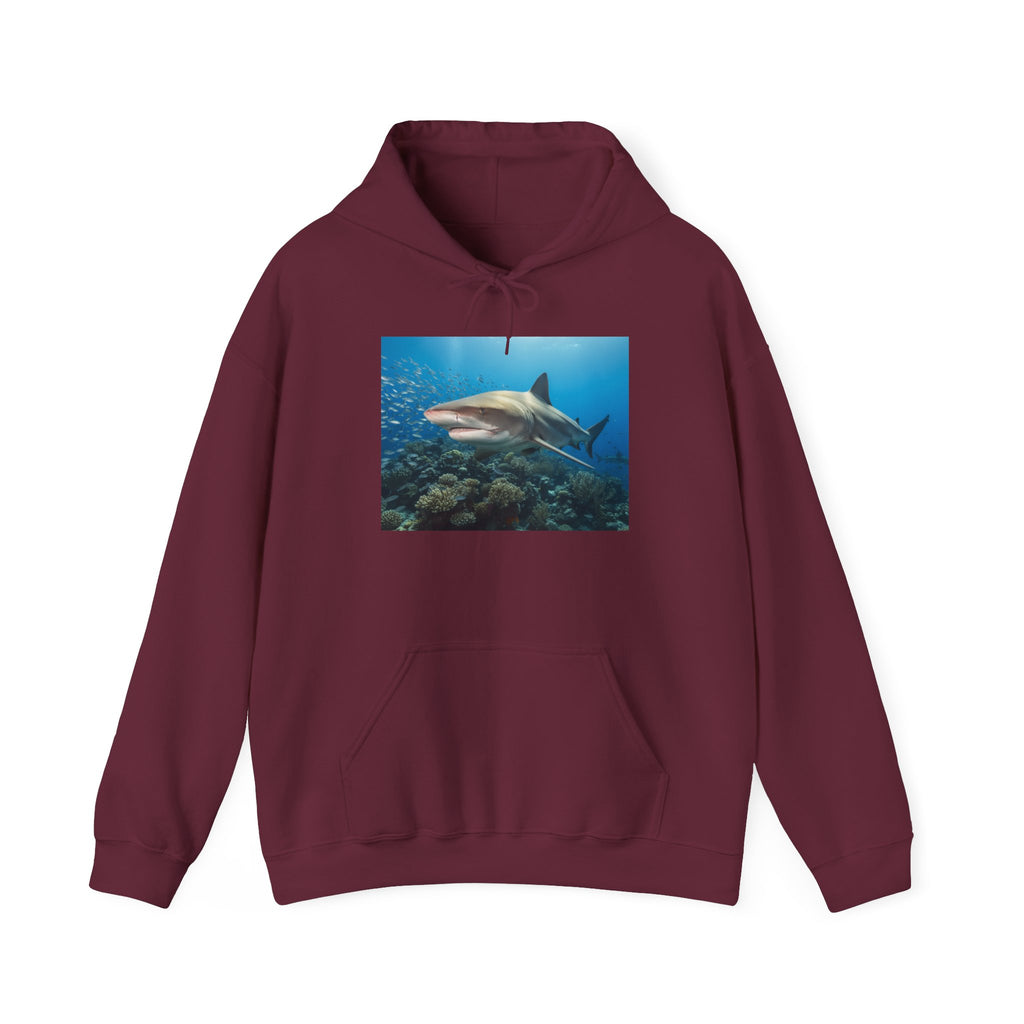 Shark Week Casual