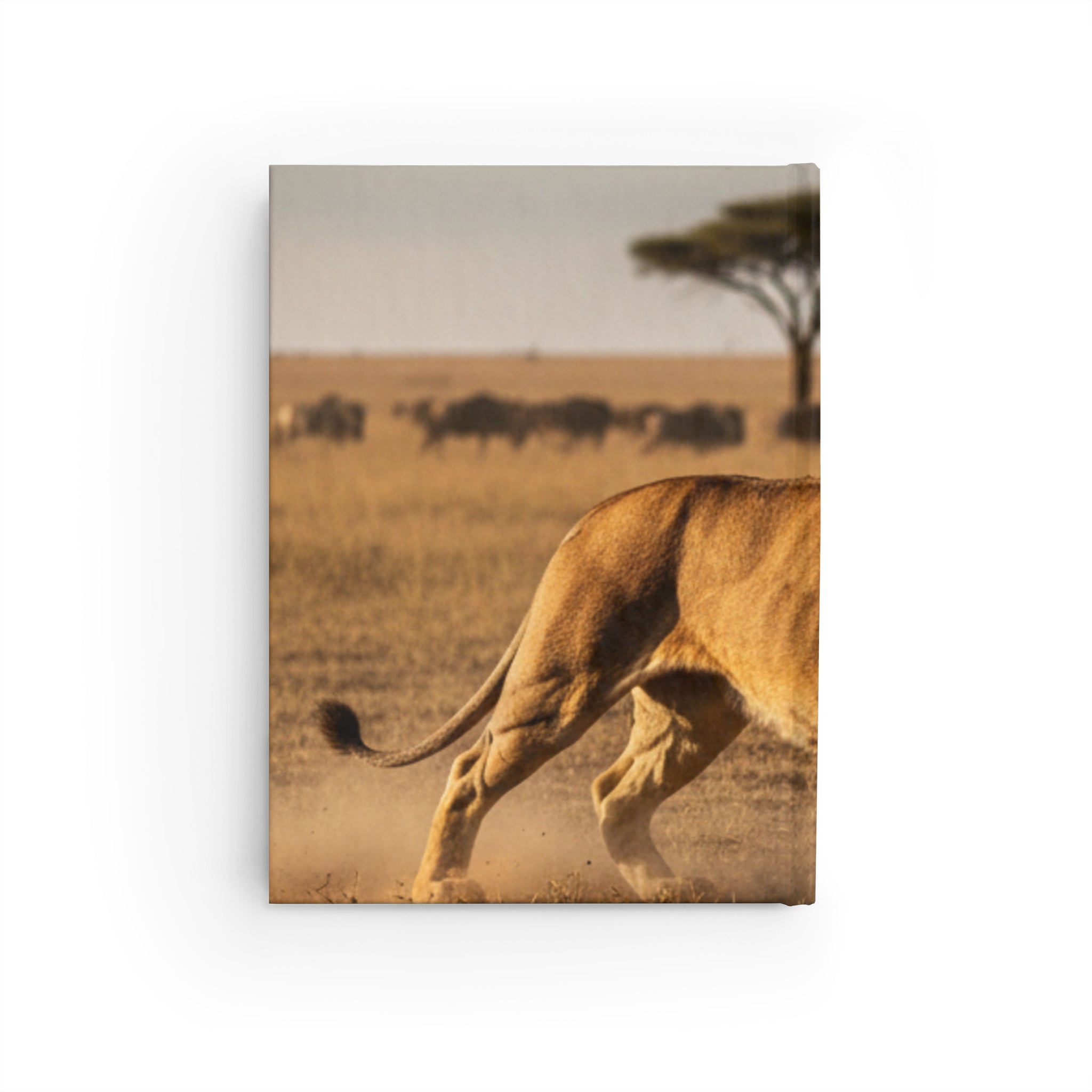 Chronicles of the Giga Chad Lion