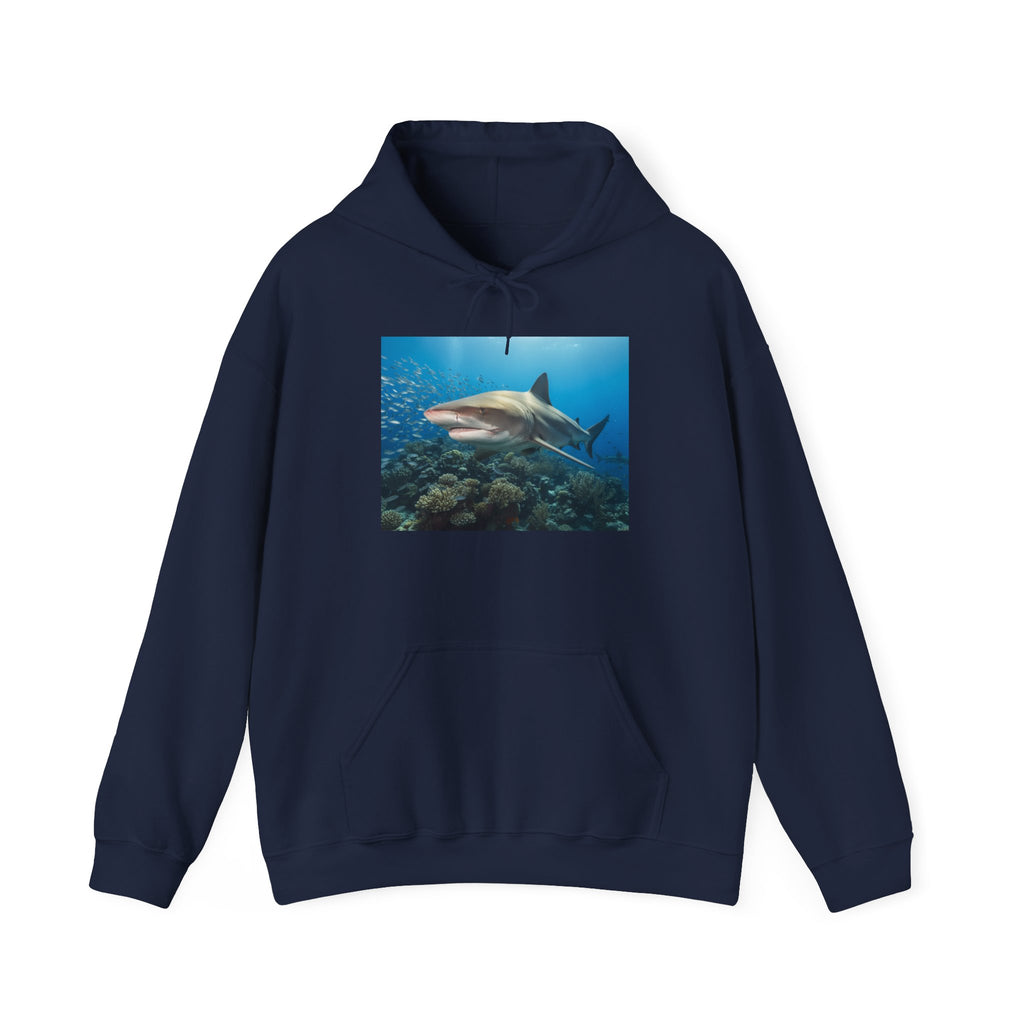 Shark Week Casual