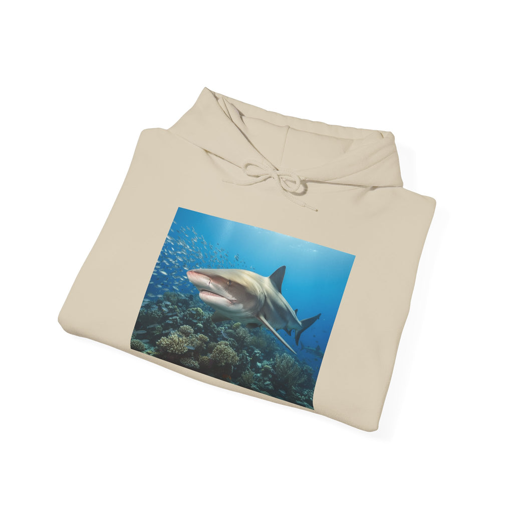 Shark Week Casual