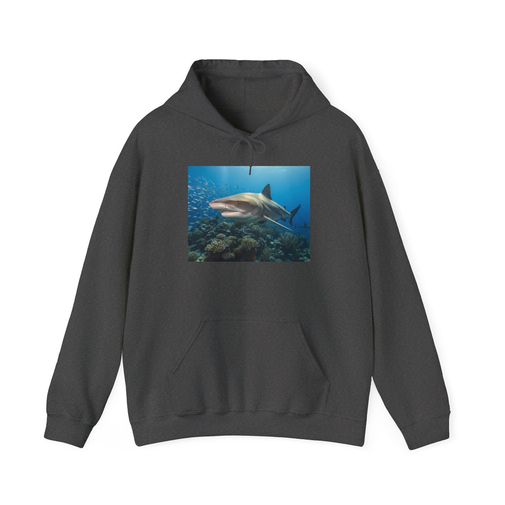 Shark Week Casual