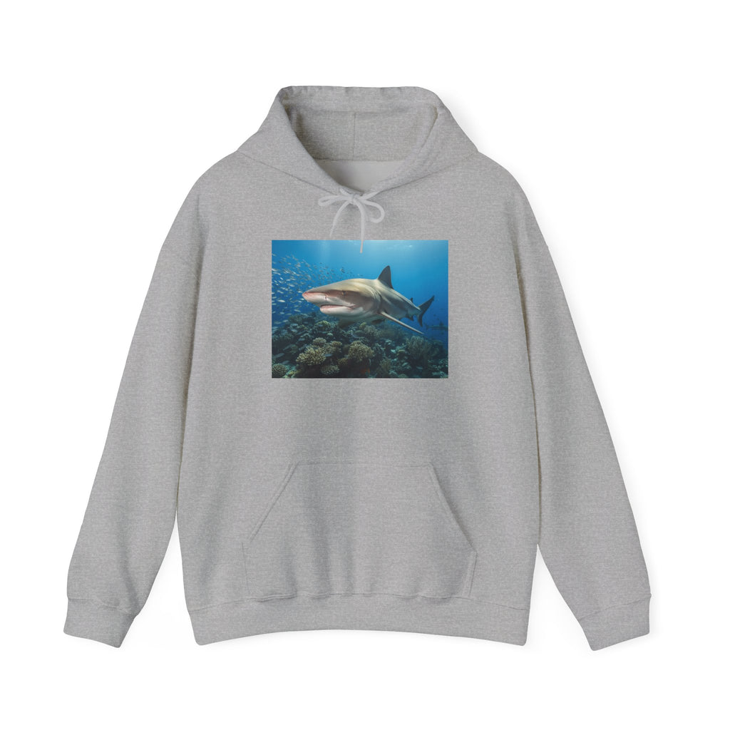 Shark Week Casual