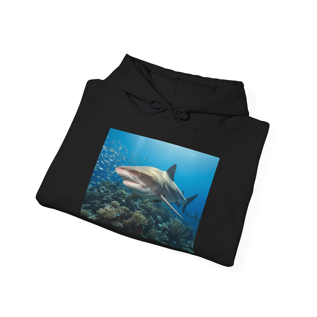 Shark Week Casual