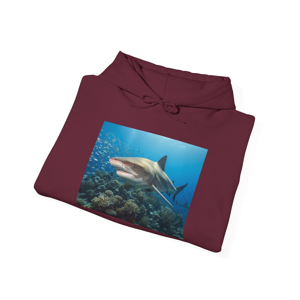 Shark Week Casual