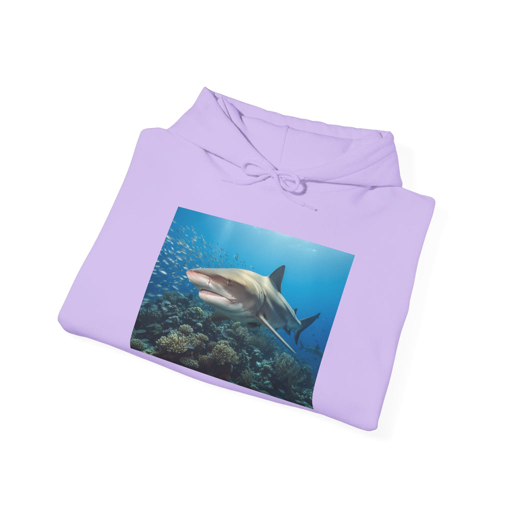 Shark Week Casual
