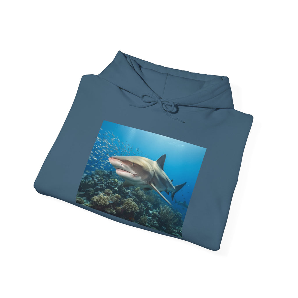 Shark Week Casual
