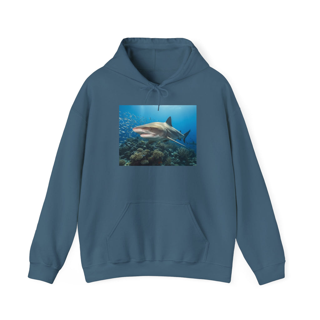 Shark Week Casual
